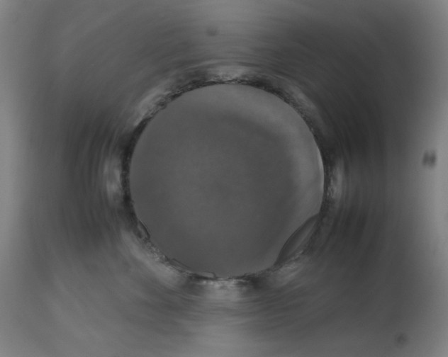 X0000112470524200909281049