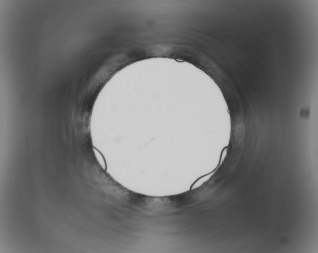 X0000112470525200909281049