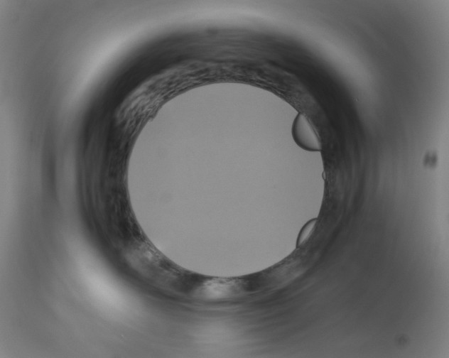 X0000112470526200909281049