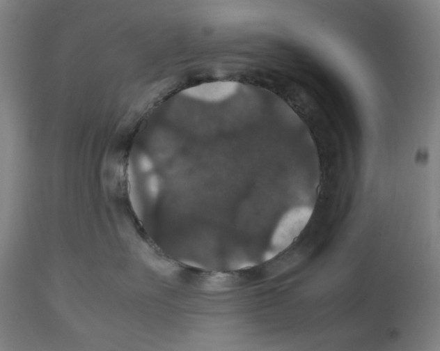 X0000112470527200909281049
