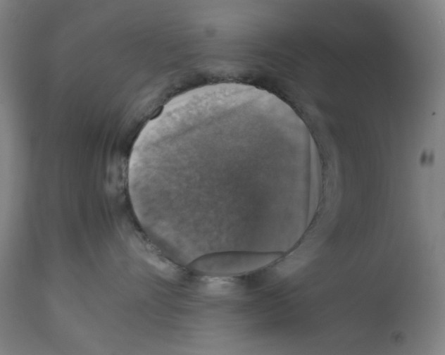 X0000112470528200909281049