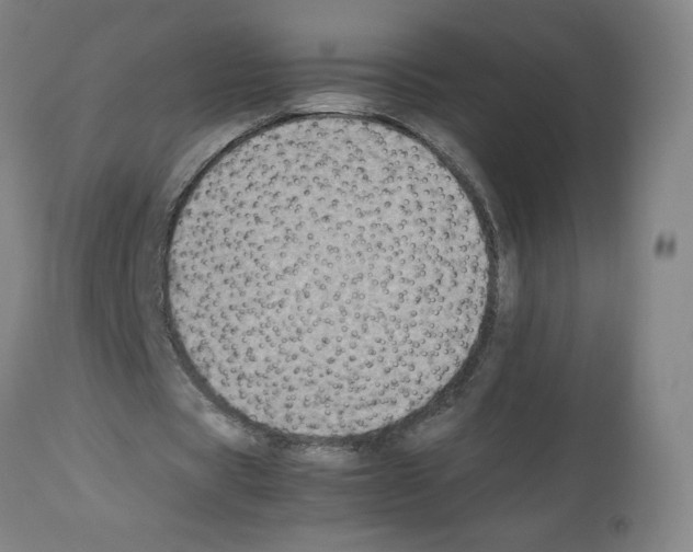 X0000112470529200909281048
