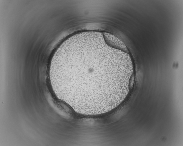 X0000112470530200909281048