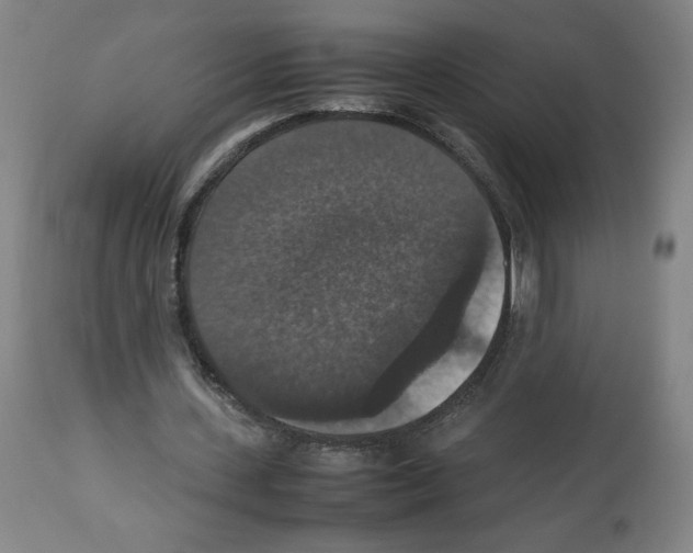 X0000112470531200909281048