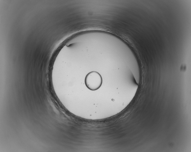 X0000112470532200909281048