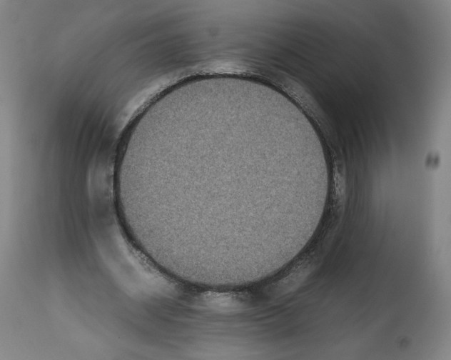 X0000112470534200909281048