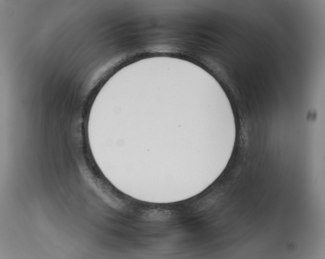X0000112470535200909281048