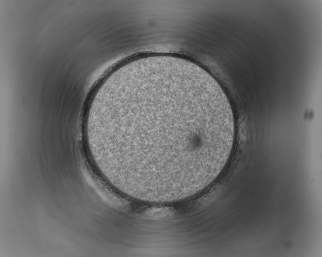 X0000112470536200909281048