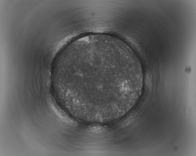 X0000112470540200909281048