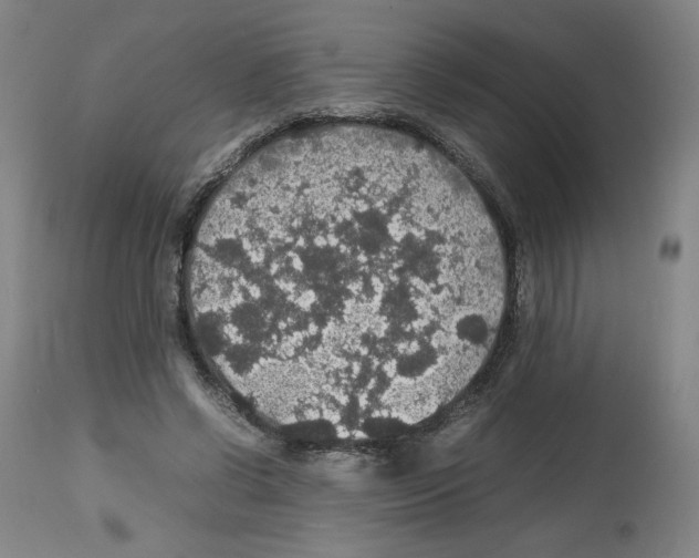 X0000112470542200909281048