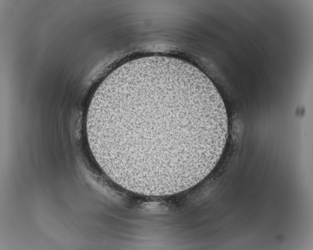 X0000112470544200909281048