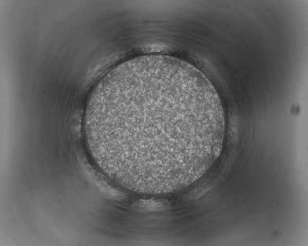 X0000112470545200909281048