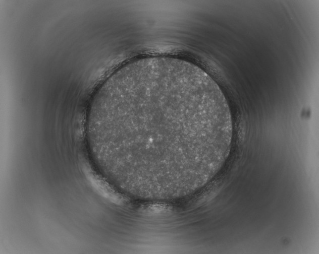 X0000112470546200909281048