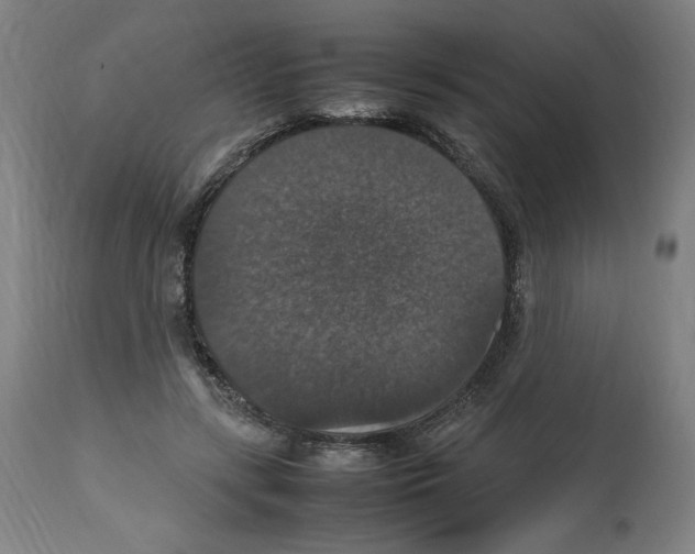X0000112470547200909281048