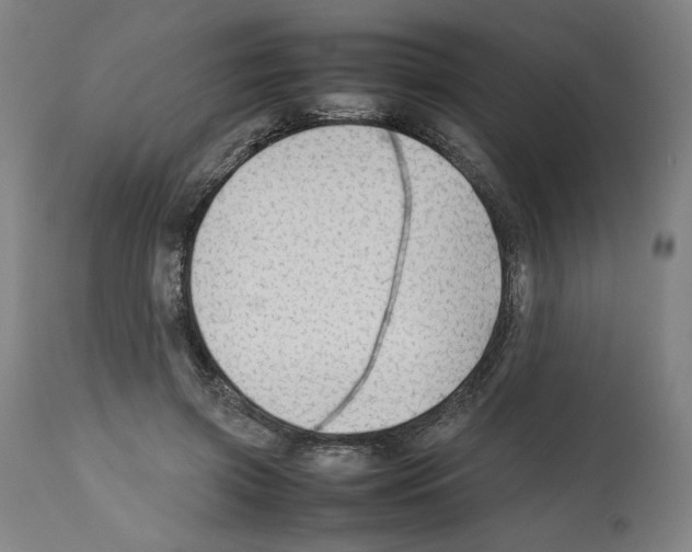 X0000112470549200909281048