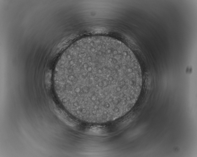 X0000112470550200909281048