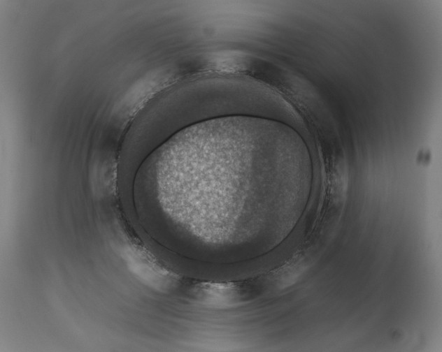 X0000112470552200909281048
