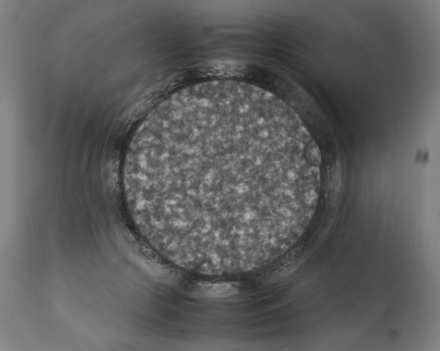 X0000112470553200909281048
