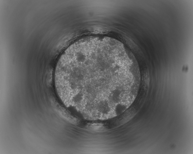 X0000112470554200909281048