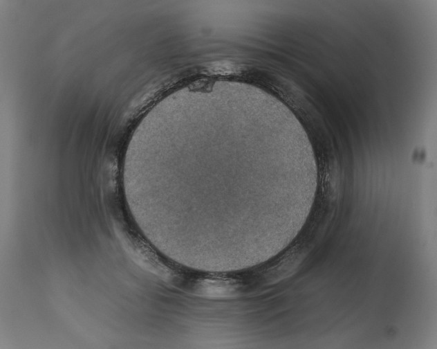 X0000112470556200909281048