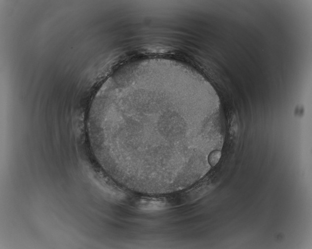 X0000112470559200909281048