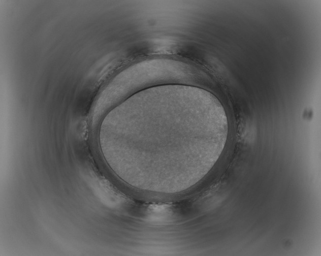X0000112470560200909281048