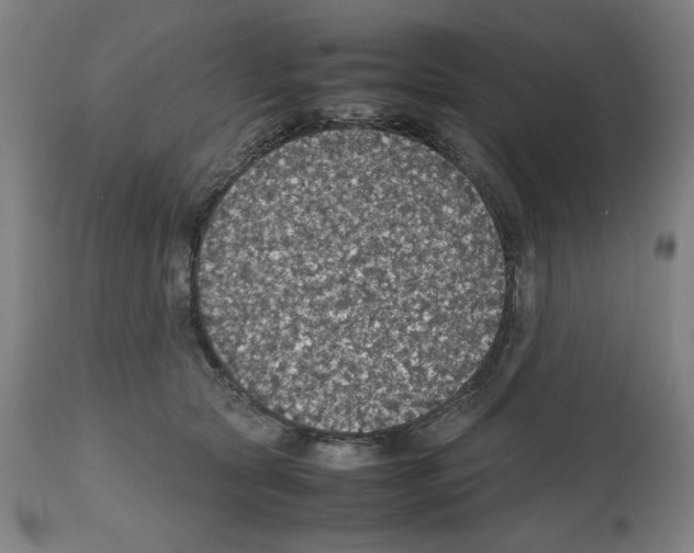X0000112470561200909281048