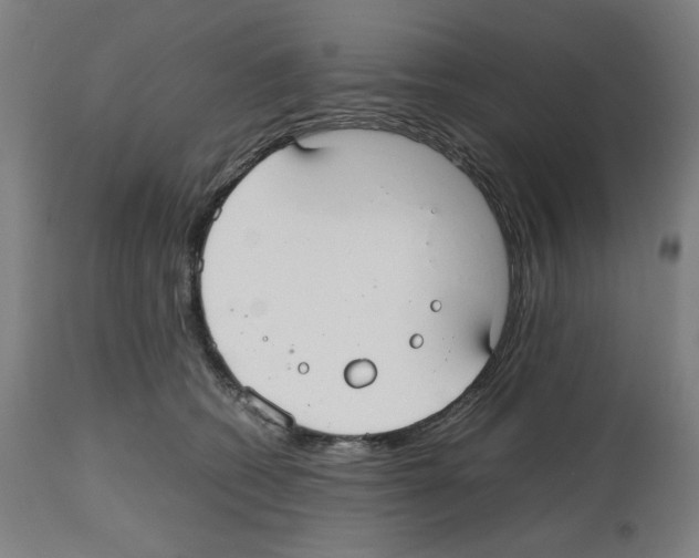 X0000112470562200909281048