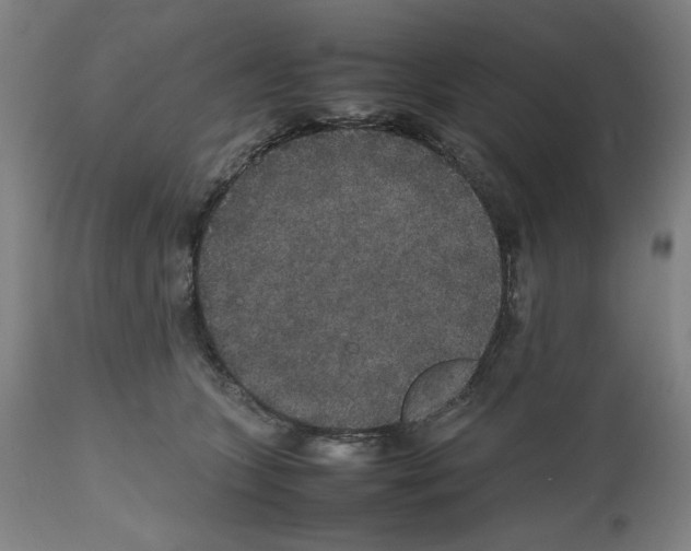 X0000112470563200909281048