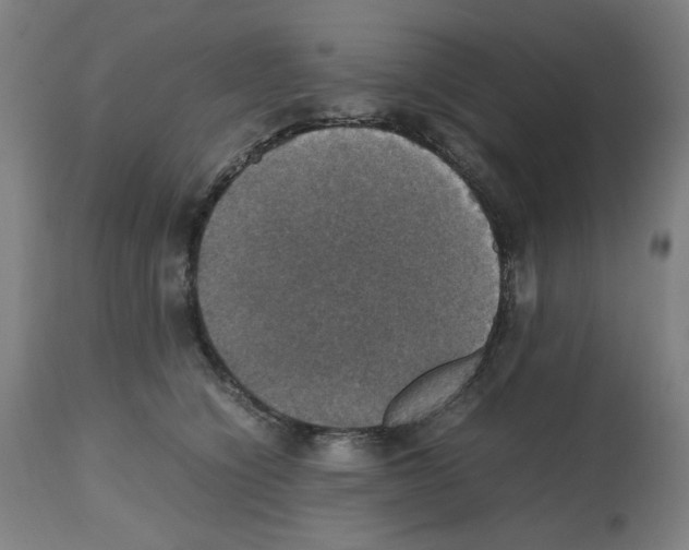 X0000112470564200909281049
