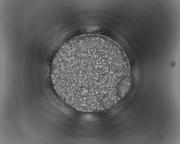 X0000112470565200909281049