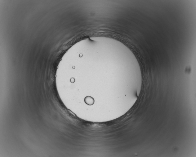 X0000112470566200909281049