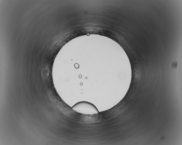 X0000112470567200909281049
