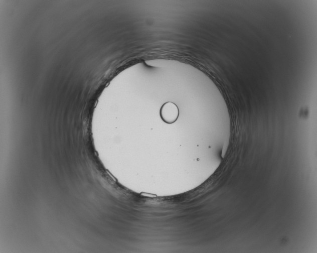 X0000112470568200909281049