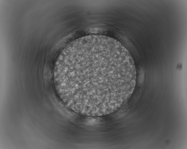X0000112470569200909281049