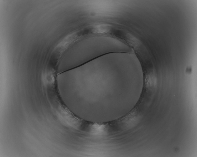 X0000112470570200909281049