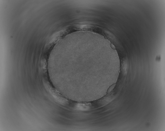 X0000112470571200909281049