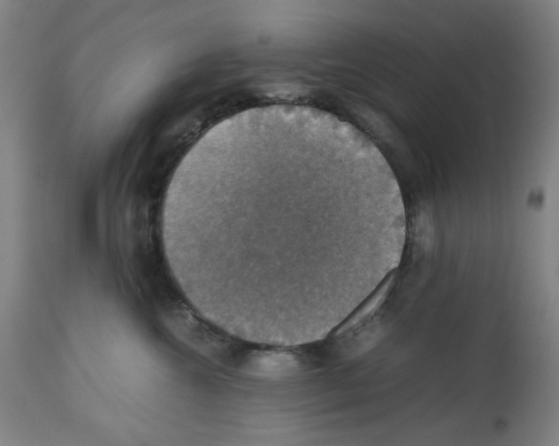 X0000112470572200909281049