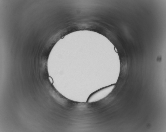 X0000112470574200909281049