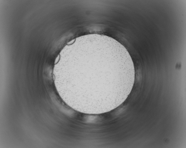 X0000112470575200909281049