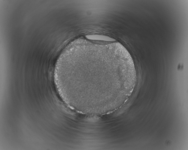 X0000112470576200909281049