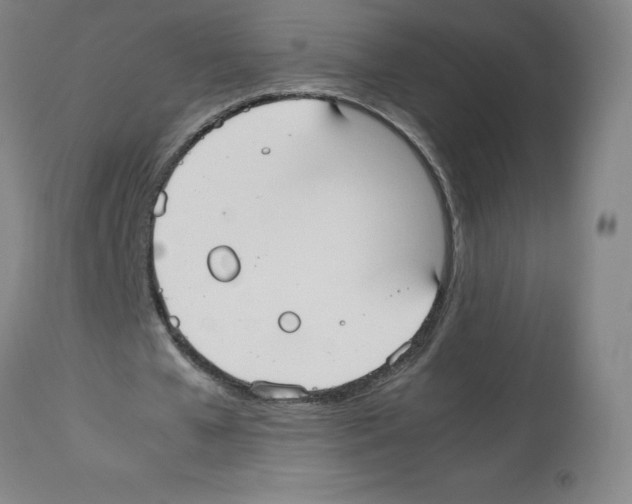 X0000112470577200909281048