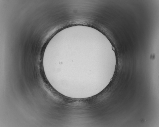 X0000112470578200909281048