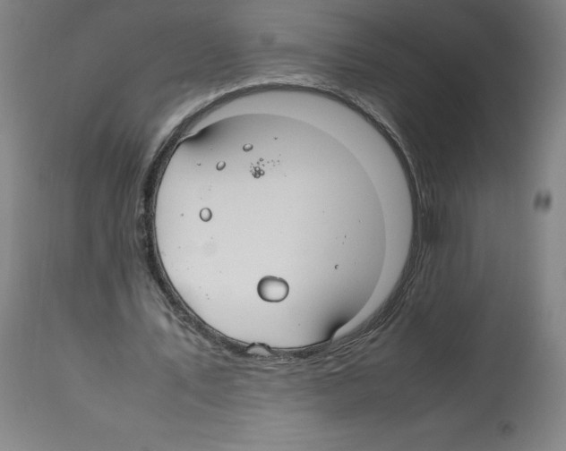 X0000112470579200909281048