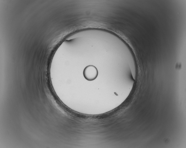 X0000112470581200909281048