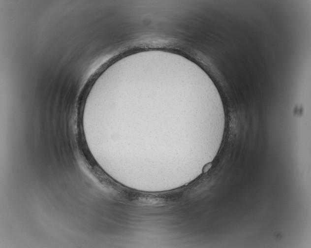 X0000112470582200909281048