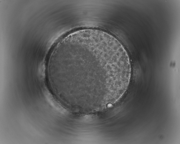 X0000112470584200909281048
