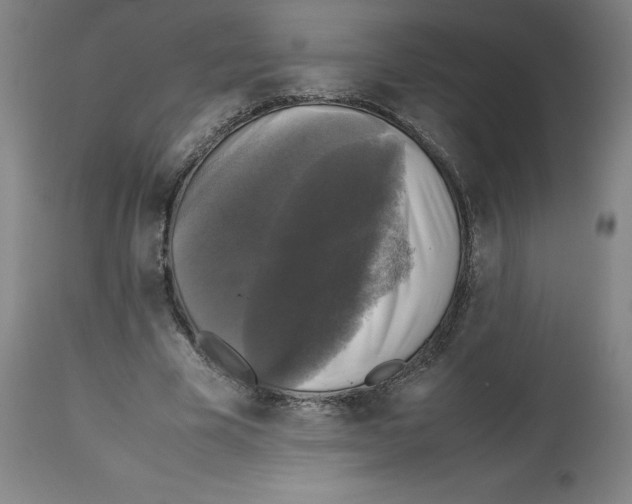 X0000112470585200909281048