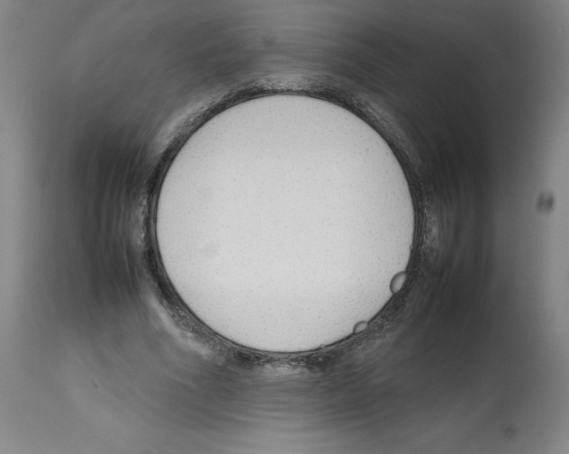X0000112470586200909281048