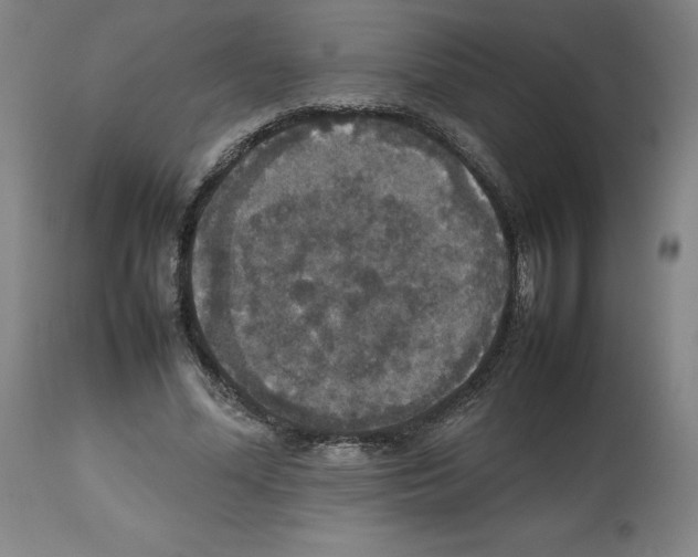 X0000112470588200909281048